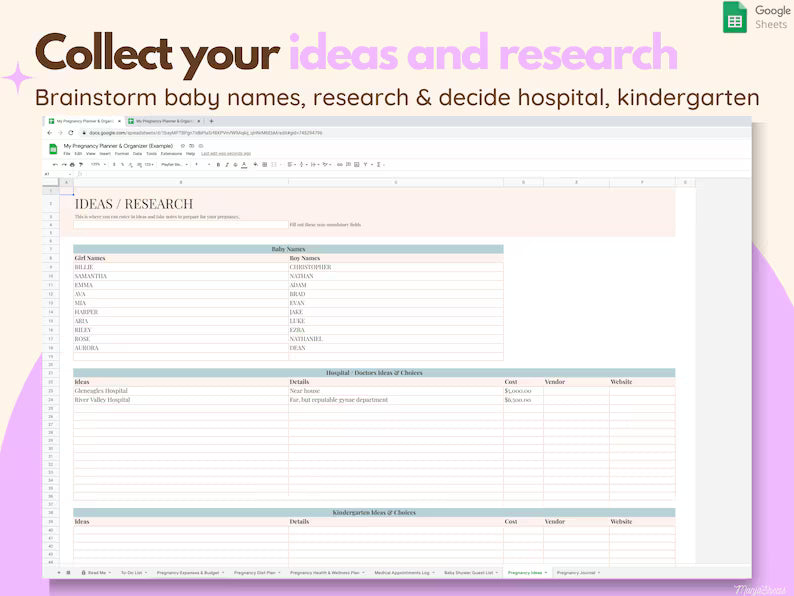 Pregnancy Planner Google Sheet
